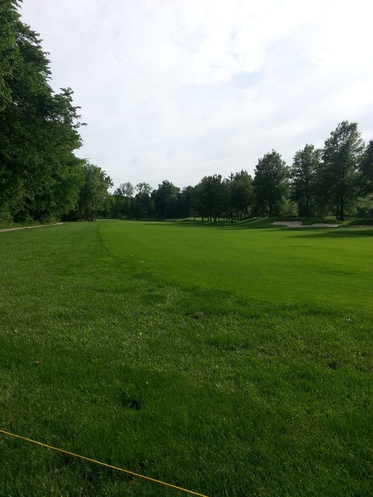 Golf course green with trees 